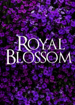 watch free Royal Blossom
