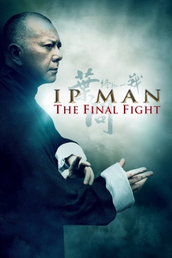 watch free Ip Man: The Final Fight
