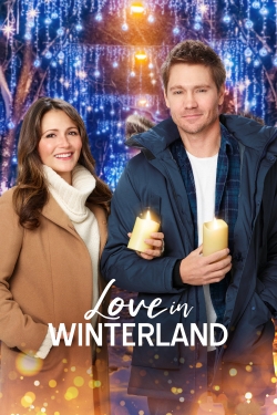 watch free Love in Winterland