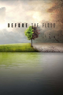 watch free Before the Flood