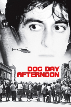 watch free Dog Day Afternoon