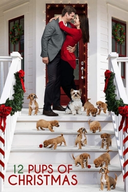 watch free 12 Pups of Christmas