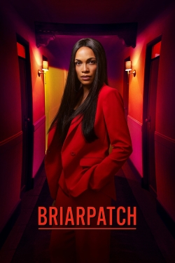 watch free Briarpatch