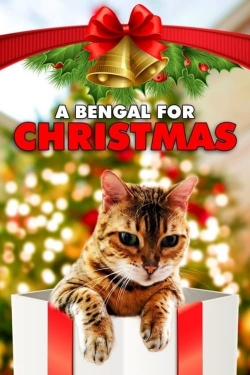 watch free A Bengal for Christmas