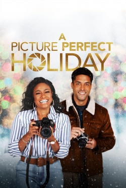 watch free A Picture Perfect Holiday