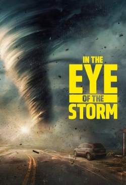 watch free In the Eye of the Storm