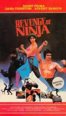 watch free Revenge of the Ninja