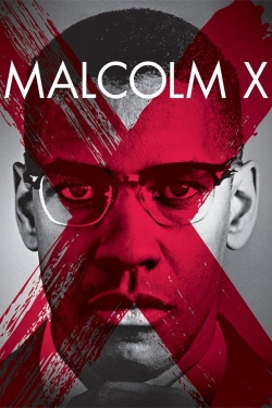 watch free Malcolm X