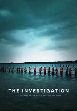 watch free The Investigation