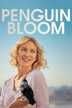 watch free Penguin Bloom