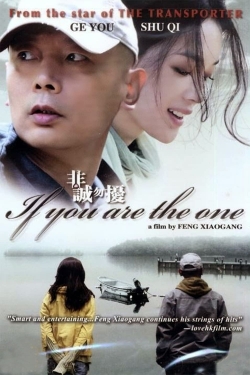 watch free If You Are the One