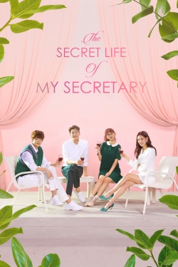 watch free The Secret Life of My Secretary