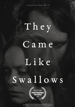 watch free They Came Like Swallows