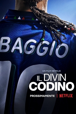 watch free Baggio: The Divine Ponytail