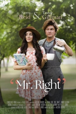 watch free Mr. Right