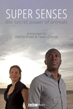 watch free Super Senses: The Secret Power of Animals