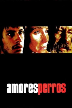 watch free Amores Perros