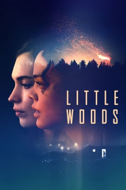 watch free Little Woods