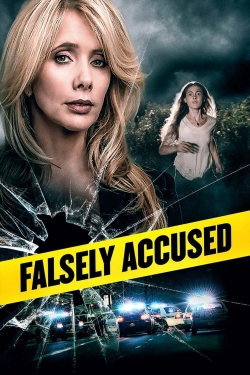 watch free Falsely Accused