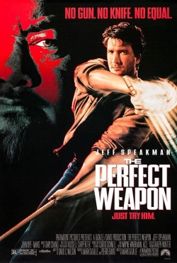 watch free The Perfect Weapon