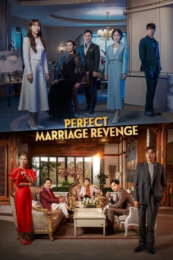 watch free Perfect Marriage Revenge