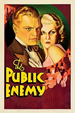 watch free The Public Enemy