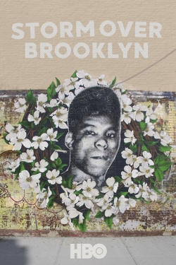 watch free Yusuf Hawkins: Storm Over Brooklyn