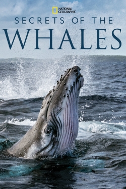 watch free Secrets of the Whales