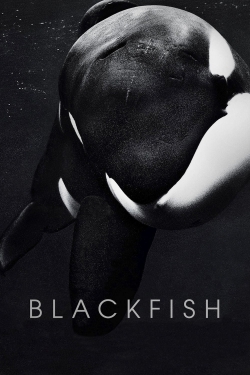 watch free Blackfish