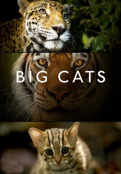 watch free Big Cats