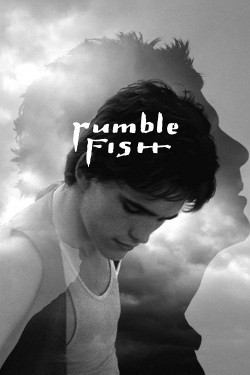 watch free Rumble Fish