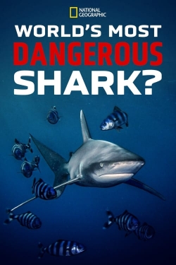 watch free World's Most Dangerous Shark?