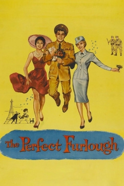 watch free The Perfect Furlough