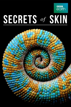 watch free Secrets of Skin