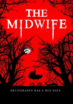 watch free The Midwife