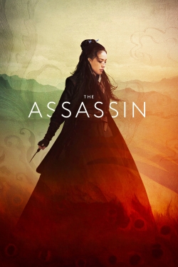watch free The Assassin