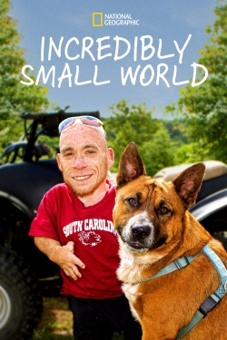 watch free Incredibly Small World