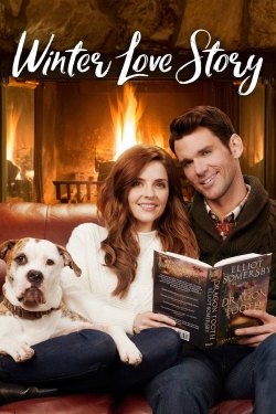watch free Winter Love Story