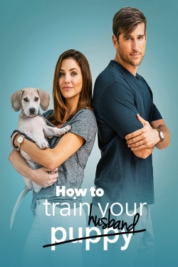 watch free How to Train Your Husband