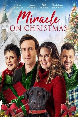 watch free Miracle on Christmas