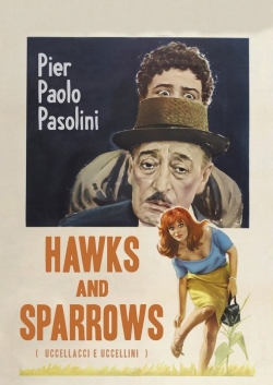 watch free Hawks and Sparrows