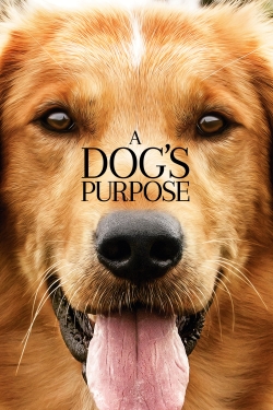 watch free A Dog's Purpose