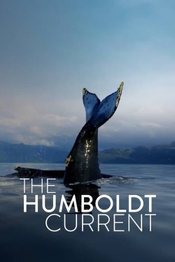 watch free The Humboldt Current