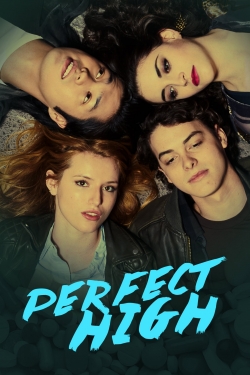 watch free Perfect High