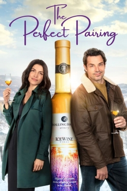 watch free The Perfect Pairing