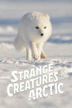 watch free Strange Creatures of the Arctic