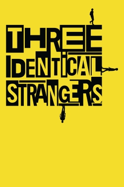 watch free Three Identical Strangers