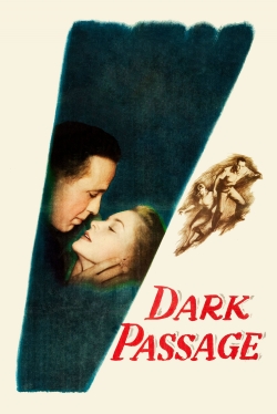 watch free Dark Passage