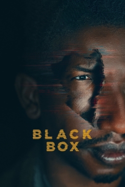 watch free Black Box