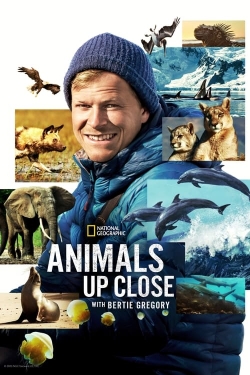 watch free Animals Up Close with Bertie Gregory